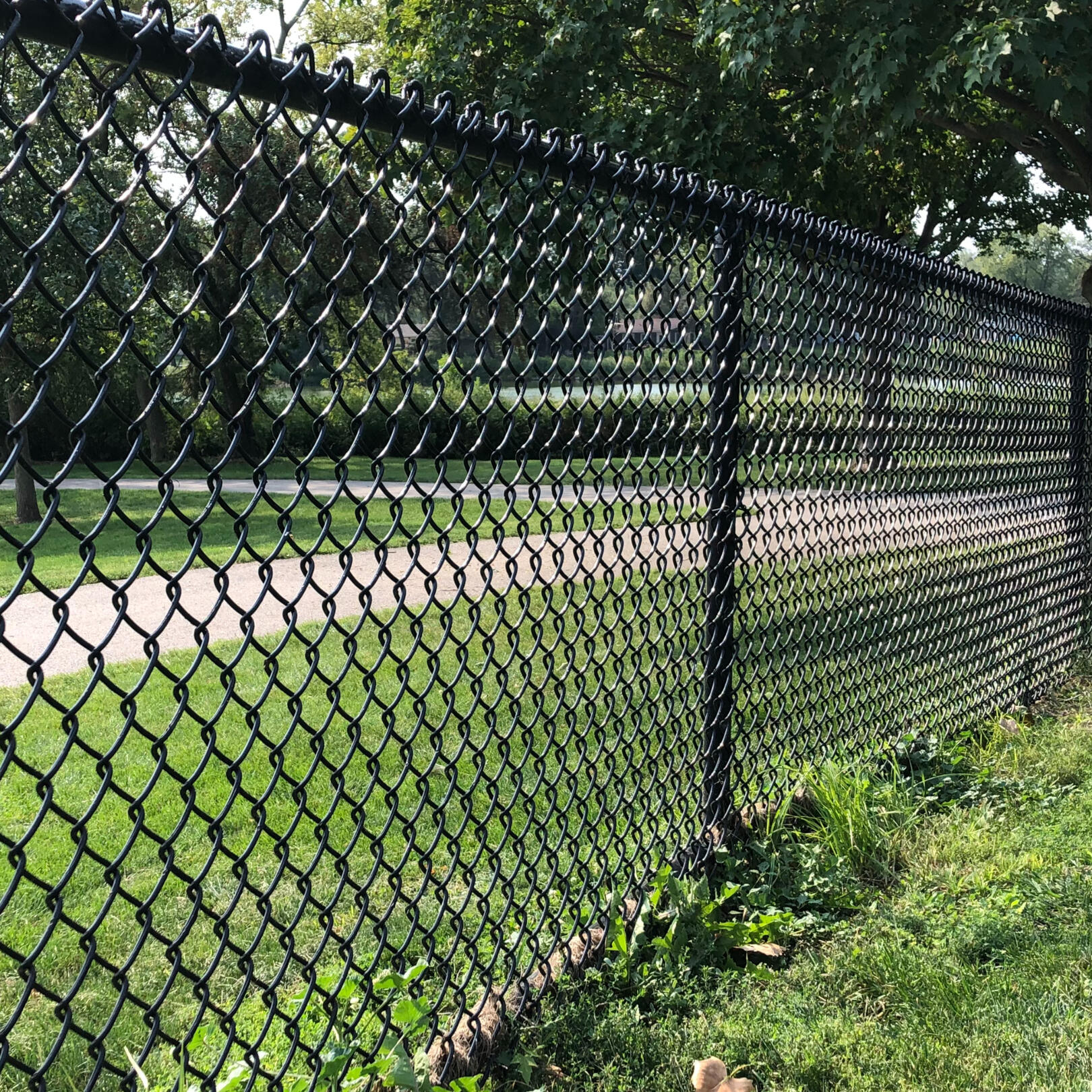 chain link fence Kane County fence company illinois